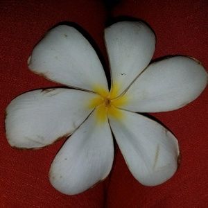 Meet your Posher, Da vonna